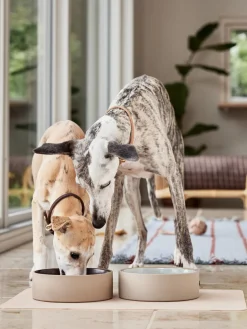 Alfombrilla para comedero de mascotas Koko