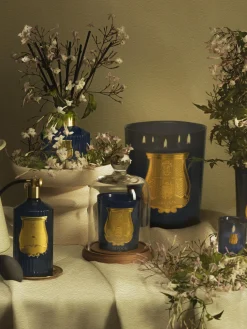 Ambientador artesanal en spray Salta (pomelo)