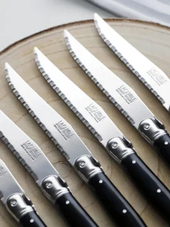 Bloque de 6 cuchillos Debutant