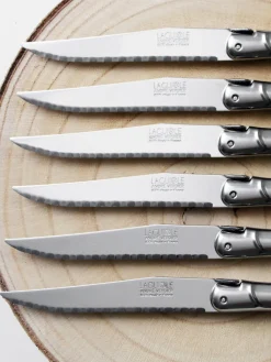 Bloque de 6 cuchillos Debutant Inox