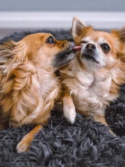 Cama para mascotas de borreguillo Fluffy, tamaños diferentes