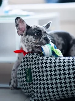 Cama para mascotas Houndstooth, tamaños diferentes
