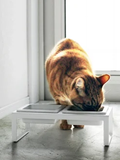 Comedero para mascotas Tower