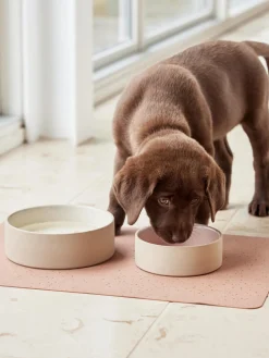 Comederos para mascotas Sia, tamaños diferentes