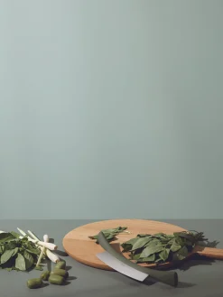 Cuchillo de pesaje Green Tool