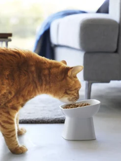 Cuenco de mascotas de cerámica Tower