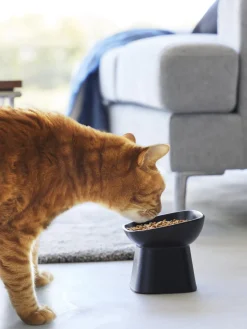 Cuenco de mascotas de cerámica Tower