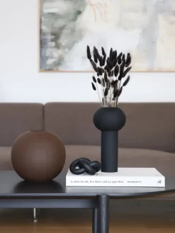 Flores secas Lagurus