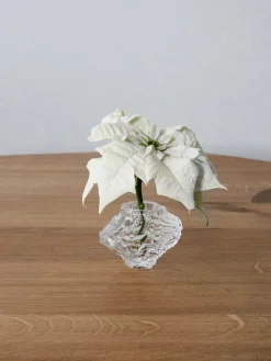 Jarrón de vidrio soplado Canyon, 8 cm