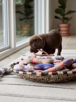 Juguete hueso para perros Ashi, tamaños diferentes