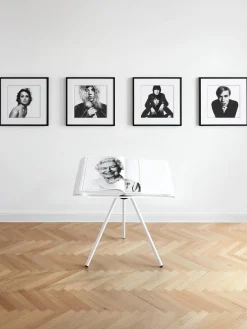 Libro ilustrado David Bailey