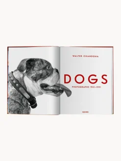 Libro ilustrado Dogs. Photographs 1941–1991