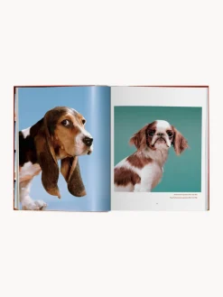 Libro ilustrado Dogs. Photographs 1941–1991