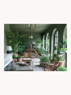 Libro ilustrado Rose Uniacke at Work