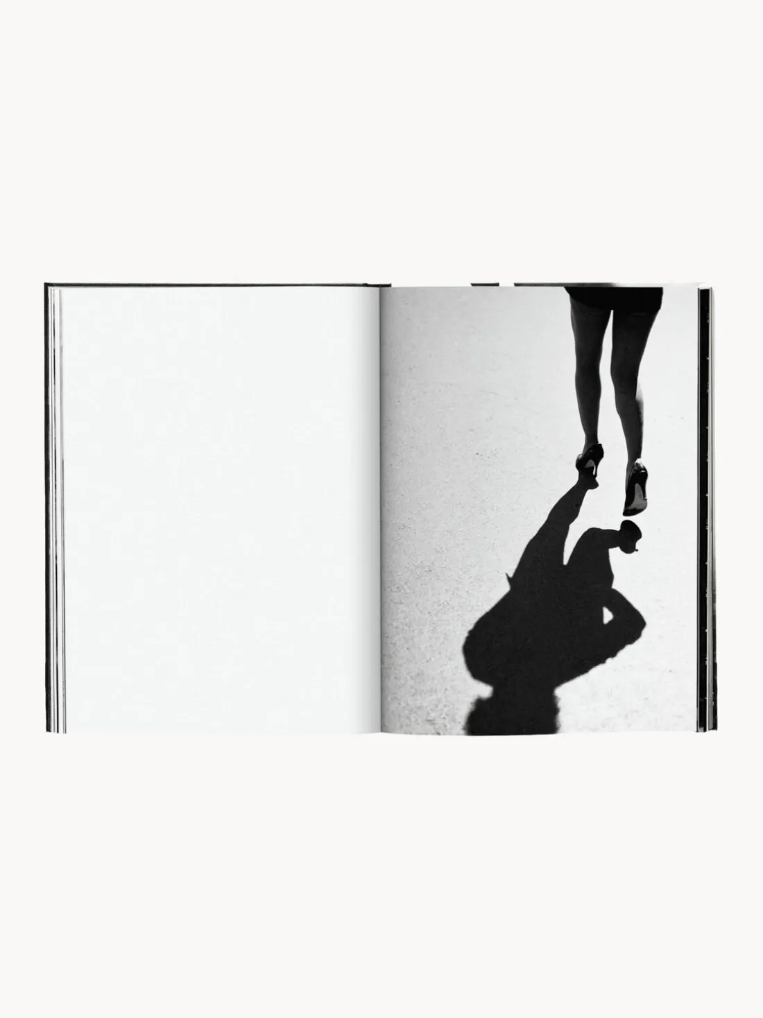 Libro ilustrado. Tina Turner