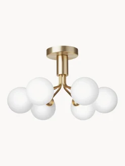 Lámpara de techo de vidrio Apiales