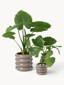 Maceta de gres pequeña Rudi, 16 cm