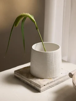 Macetero Benedita, 13 cm