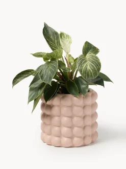 Macetero de gres Bob, 18 cm