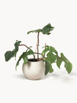 Macetero de hormigón Tuscany, 25 cm