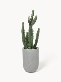 Macetero de hormigón Tuscany, 49 cm