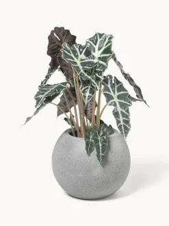 Macetero de hormigón Tuscany, 21 cm