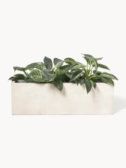 Macetero de hormigón Tuscany, 19 cm