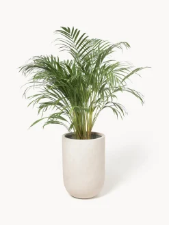 Macetero de hormigón Tuscany, 40 cm