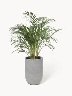 Macetero de hormigón Tuscany, 40 cm