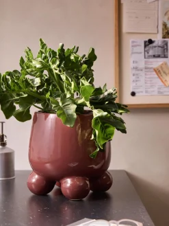 Macetero Olea, 26 cm