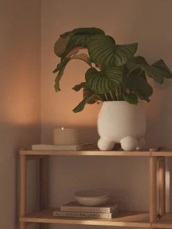 Macetero Olea, Al 26 cm