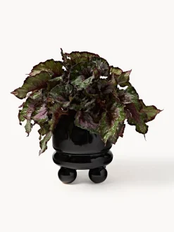 Macetero pequeño Bryn, 18 cm