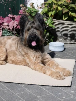 Manta para mascotas de borreguillo con reverso antideslizante, tamaños diferentes