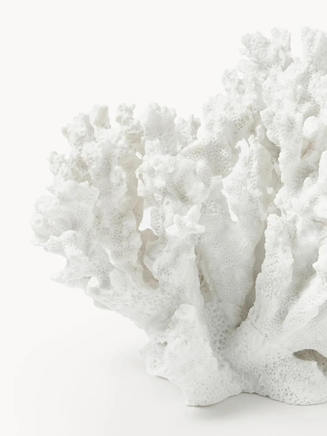 Pieza decorativa de diseño Coral