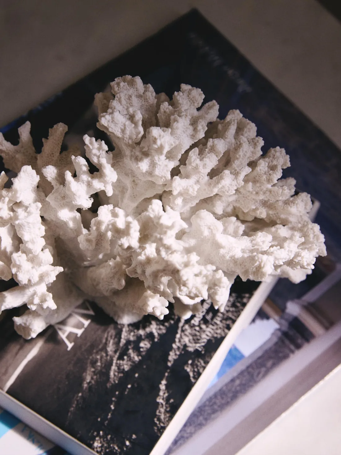 Pieza decorativa de diseño Coral