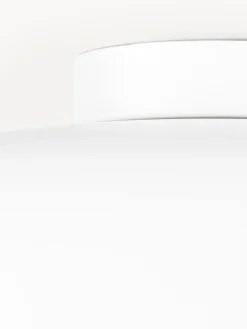 Plafón de metal Ole