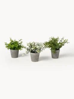 Plantas artificiales con macetas Timothy, 3 uds.