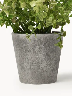 Plantas artificiales con macetas Timothy, 3 uds.