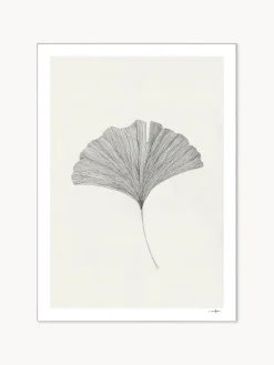 Póster Grinkgo Leaf