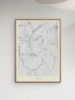 Póster Japanese Iris