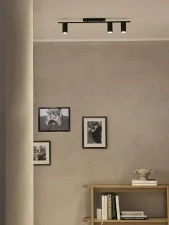 Riel grande Cassandra