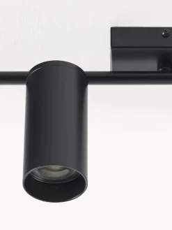 Riel grande Cassandra