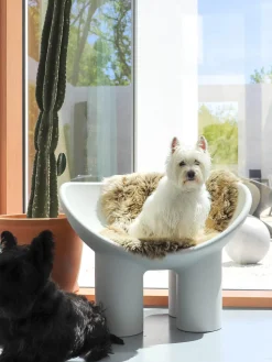 Sillón de plástico Roly Poly