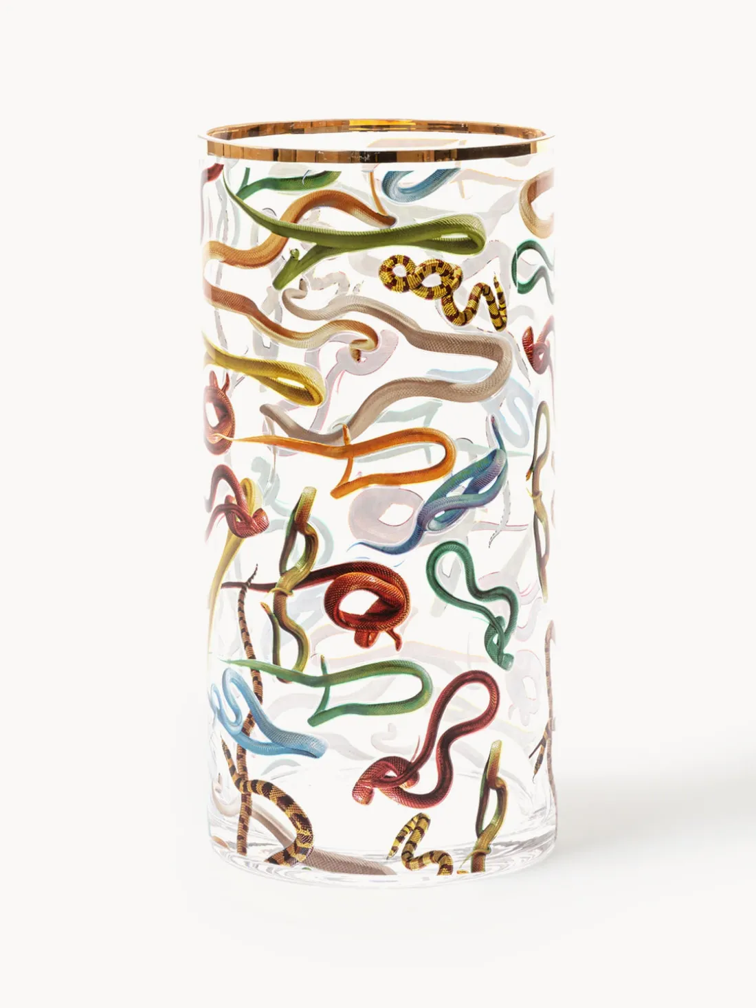 Vaso de vidrio Snakes, 30 cm