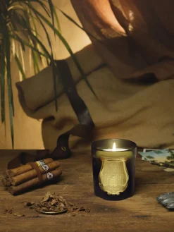 Vela perfumada artesanal Gabriel (madera de cachemira, musgo)