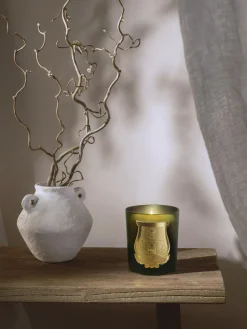 Vela perfumada artesanal Gabriel (madera de cachemira, musgo)