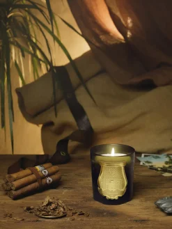 Vela perfumada artesanal Ernesto (clavo, ládano, madera de roble, pachulí)