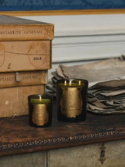 Vela perfumada artesanal de tres mechas Cyrnos (higo negro, cedro, lavanda, pino)