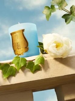 Vela perfumada artesanal de cinco mechas Versailles (romero, tilo, tuberosa)