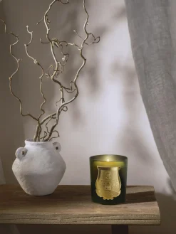 Vela perfumada artesanal Cyrnos (higo negro, madera de cedro, lavanda & pino)